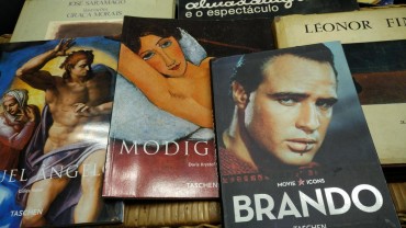 LOTE DIVERSO DE LIVROS