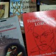 LOTE DIVERSO DE LIVROS