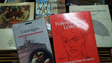 LOTE DIVERSO DE LIVROS