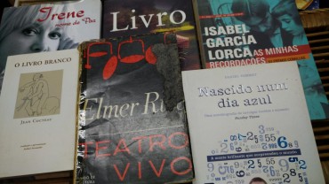 LOTE DIVERSO DE LIVROS