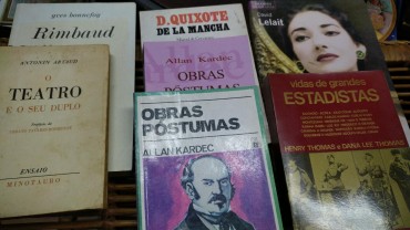 LOTE DIVERSO DE LIVROS