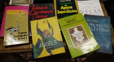 LOTE DIVERSO DE LIVROS