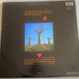 Pink Floyd Delicate Sound of Thunder Duplo 33 RPM