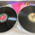 Pink Floyd Delicate Sound of Thunder Duplo 33 RPM