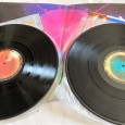 Pink Floyd Delicate Sound of Thunder Duplo 33 RPM