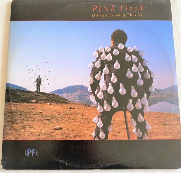 Pink Floyd Delicate Sound of Thunder Duplo 33 RPM