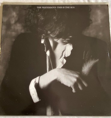 The Waterboys This Is The Sea 33 RPM