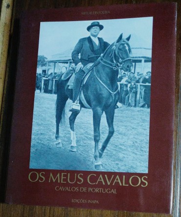 OS MEUS CAVALOS