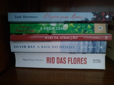 Lote de livros