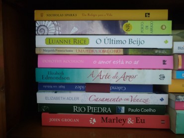 Lote de livros 