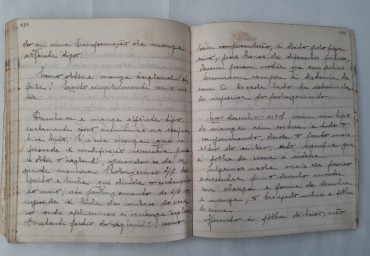 MANUSCRITOS  CONFECÇÃO E COSTURA