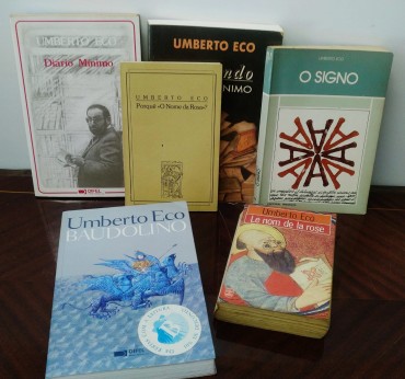 LOTE DIVERSO DE LIVROS