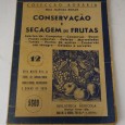 Conservação e secagem de frutas 