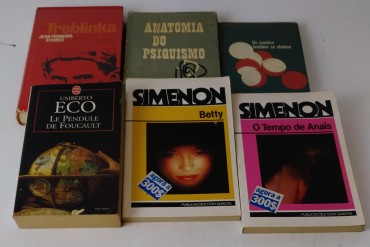 LOTE DE LIVROS DIVERSOS