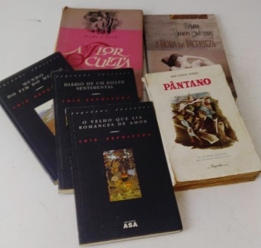 LOTE DE LIVROS DIVERSOS