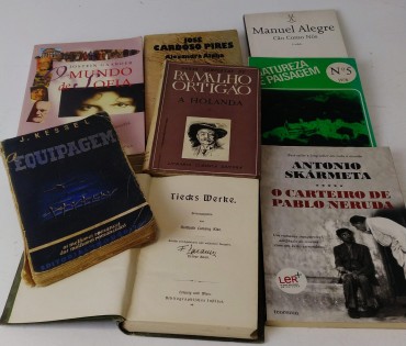 LOTE DE LIVROS DIVERSOS