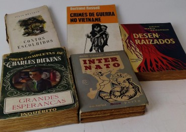 LOTE DE LIVROS DIVERSOS