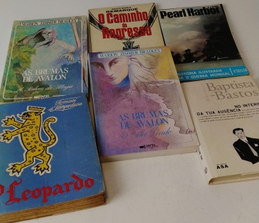 LOTE DE LIVROS DIVERSOS