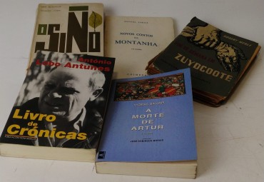 LOTE DE LIVROS DIVERSOS