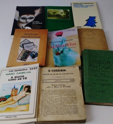 LOTE DE LIVROS DIVERSOS