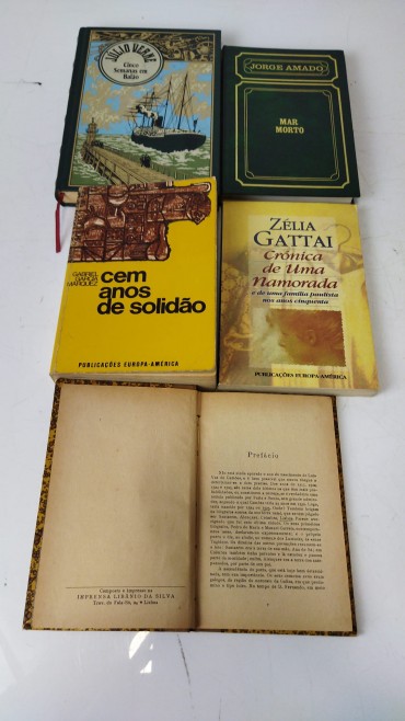 LOTE DE LIVROS DIVERSOS