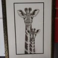 Girafas