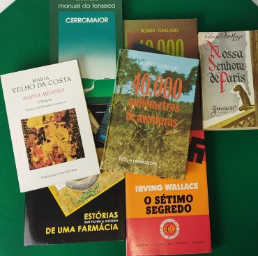 Lote de livros diversos