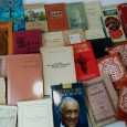 Lote de livros diversos