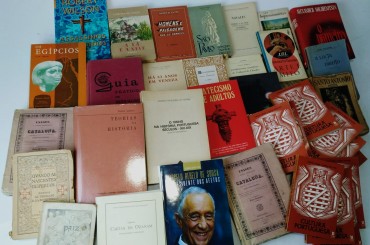 Lote de livros diversos