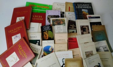Lote de livros diversos