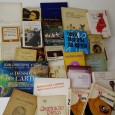 Lote de livros diversos