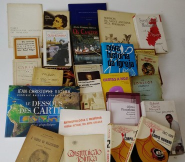 Lote de livros diversos