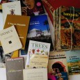 Lote de livros diversos