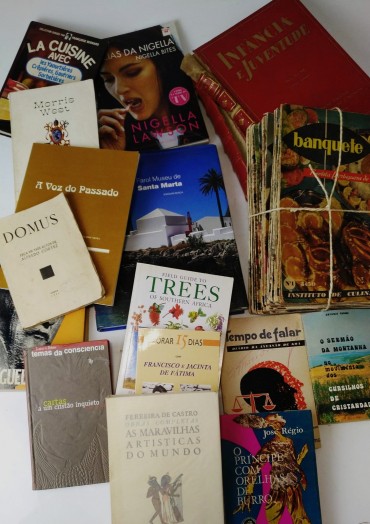 Lote de livros diversos