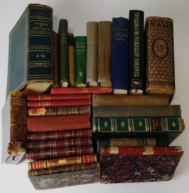 Lote de livros diversos