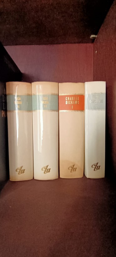 Lote de livros 