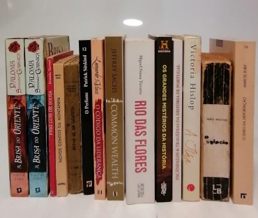 Lote de livros diversos