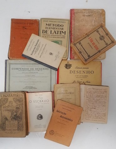 Lote de livros diversos