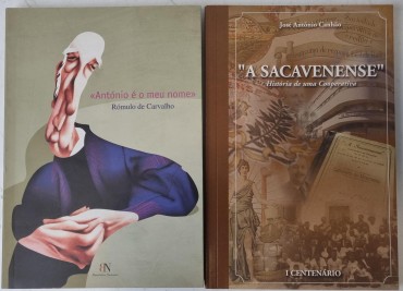 LOTE DE LIVROS DIVERSO