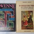 LOTE DE LIVROS DIVERSO