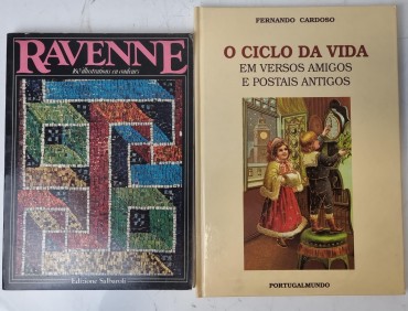 LOTE DE LIVROS DIVERSO