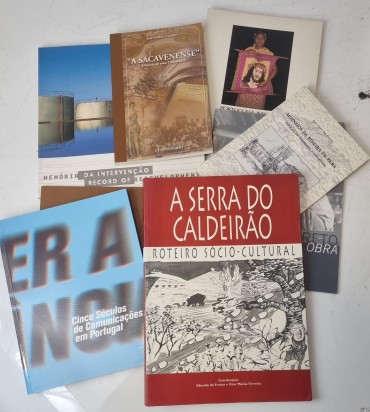 LOTE DE LIVROS DIVERSO