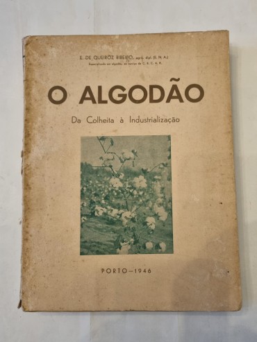 O ALGODÃO DA COLHEITA À INDUSTRIALIZAÇÃO 