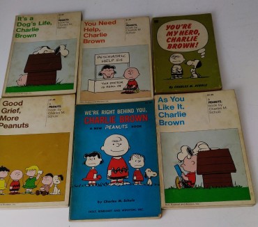 LOTE DE LIVROS DIVERSO - CHARLIE BROWN