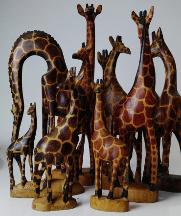 Girafas