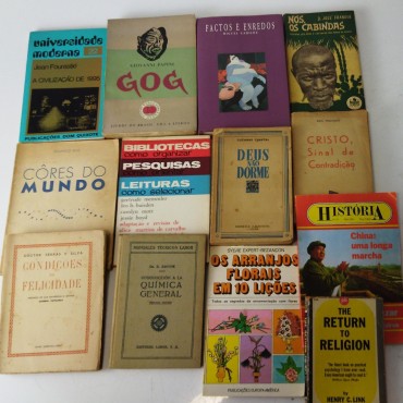 Lote de livros 