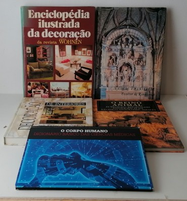 Lote de livros 