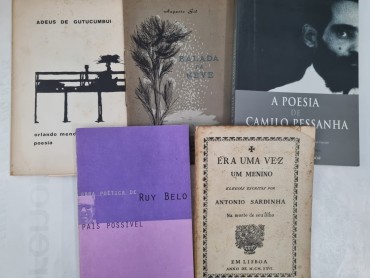 POESIA E LITERATURA