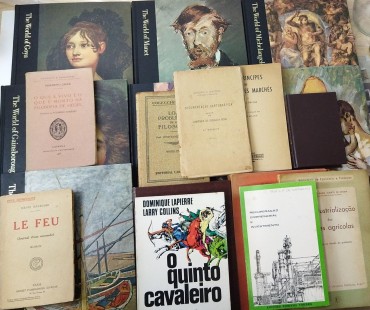 Lote de livros diversos