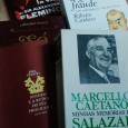 LOTE DE LIVROS DIVERSOS